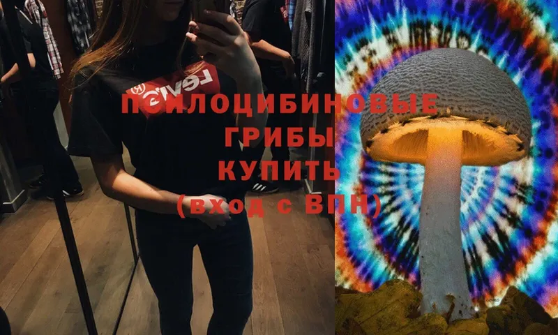 OMG ТОР  shop какой сайт  Омск  Псилоцибиновые грибы прущие грибы  купить  